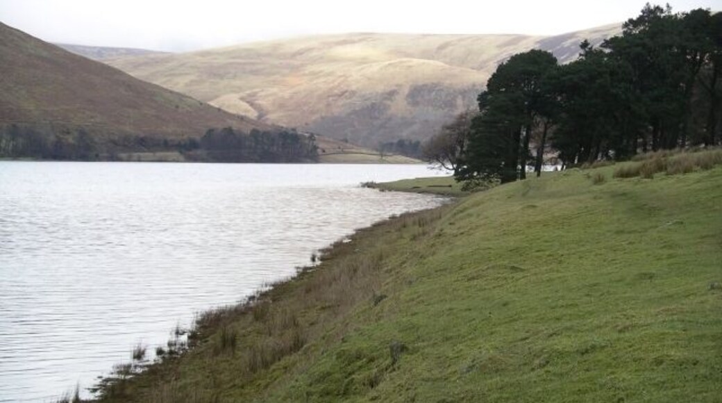 St Mary's Loch. Looking N, with March Wood in the middle distance