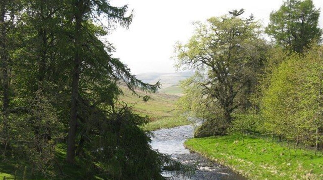 The Megget Water at Cappercleuch. A spring view from the A708, just before the burn flows into St Mary's Loch. For a winter view see 324427.
