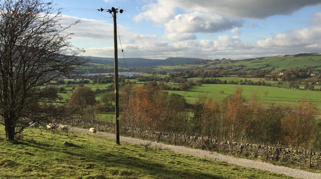 Looking out over the valley, 5 minutes from the station.