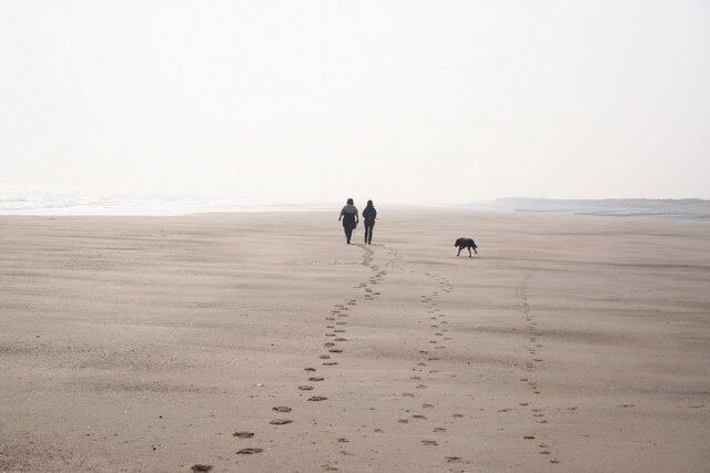 Wolla Bank Looking south towards Chapel Point at low tide