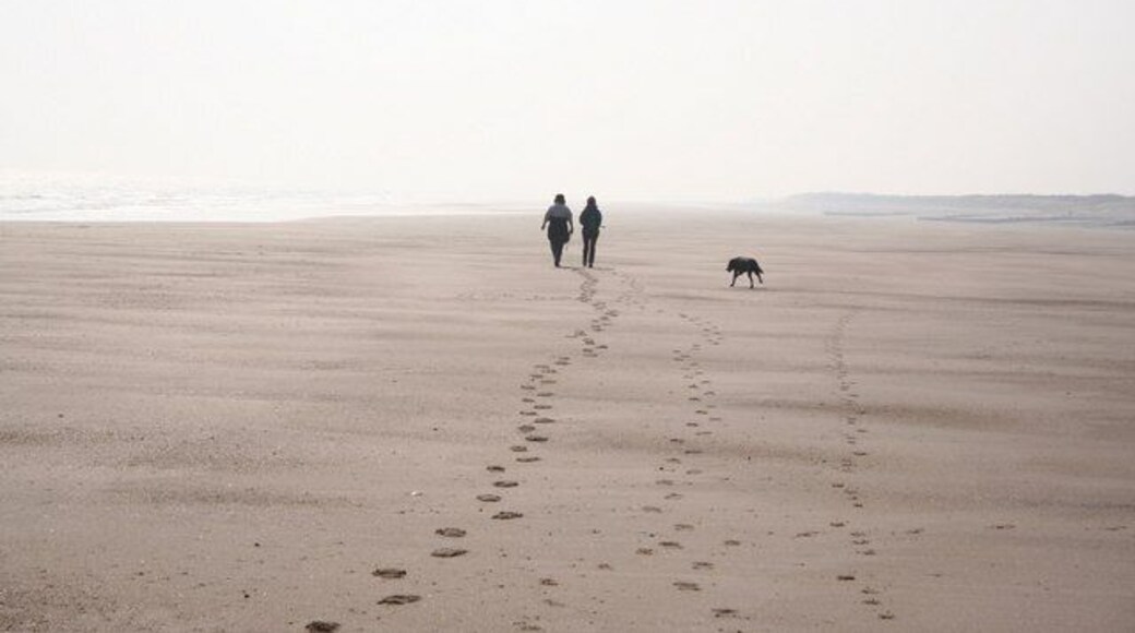 Wolla Bank Looking south towards Chapel Point at low tide