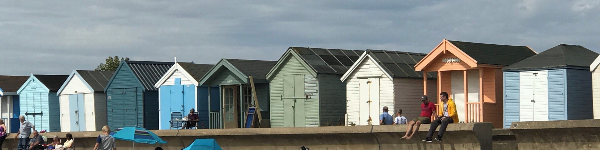 Whale watching! No porpoises!