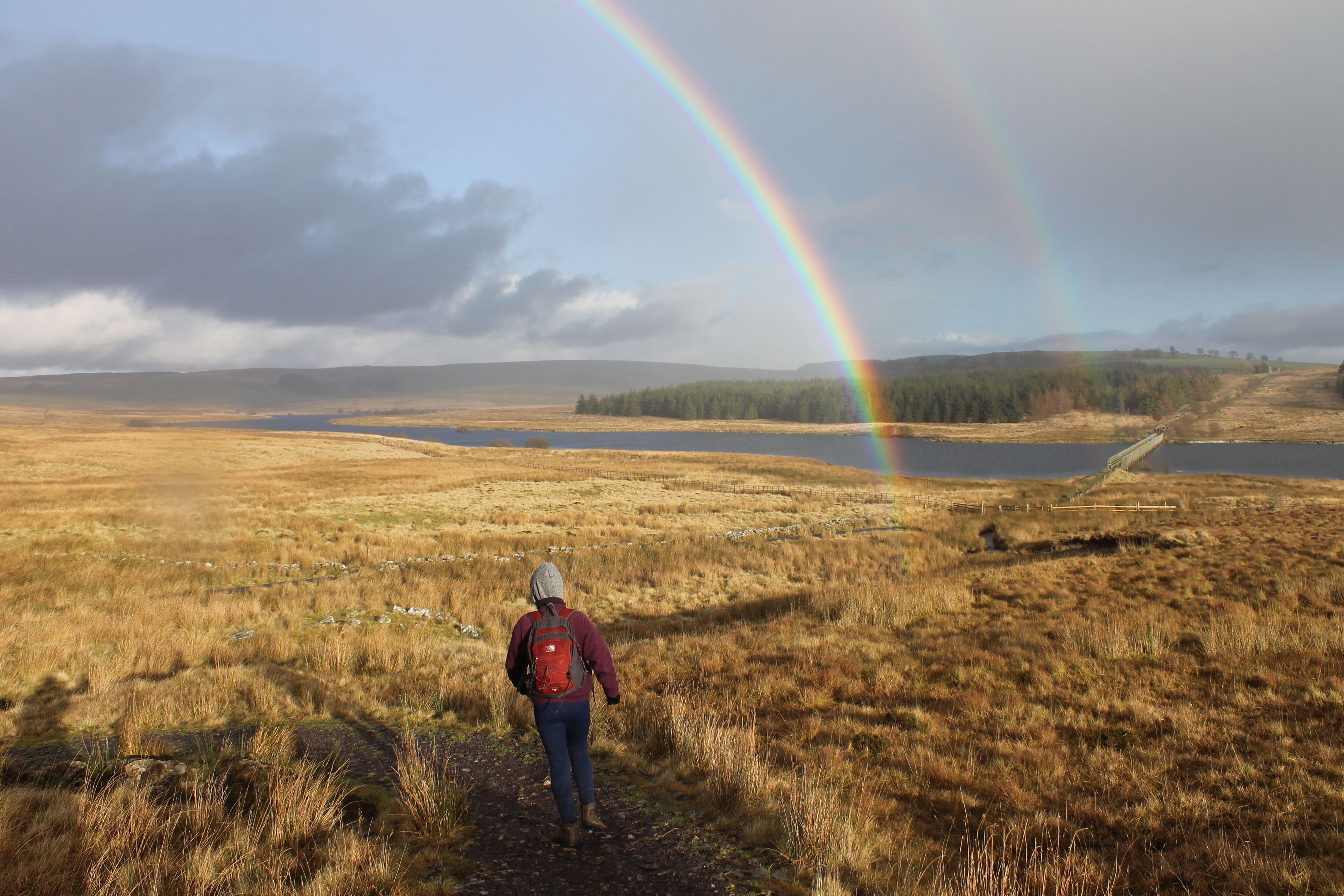 Llyn Alwen Reservoir, Conwy Borough County, Wales.