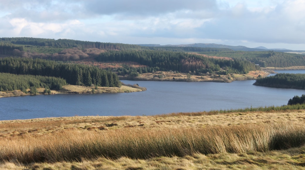 Llyn Alwen Reservoir, Conwy Borough County, Wales.