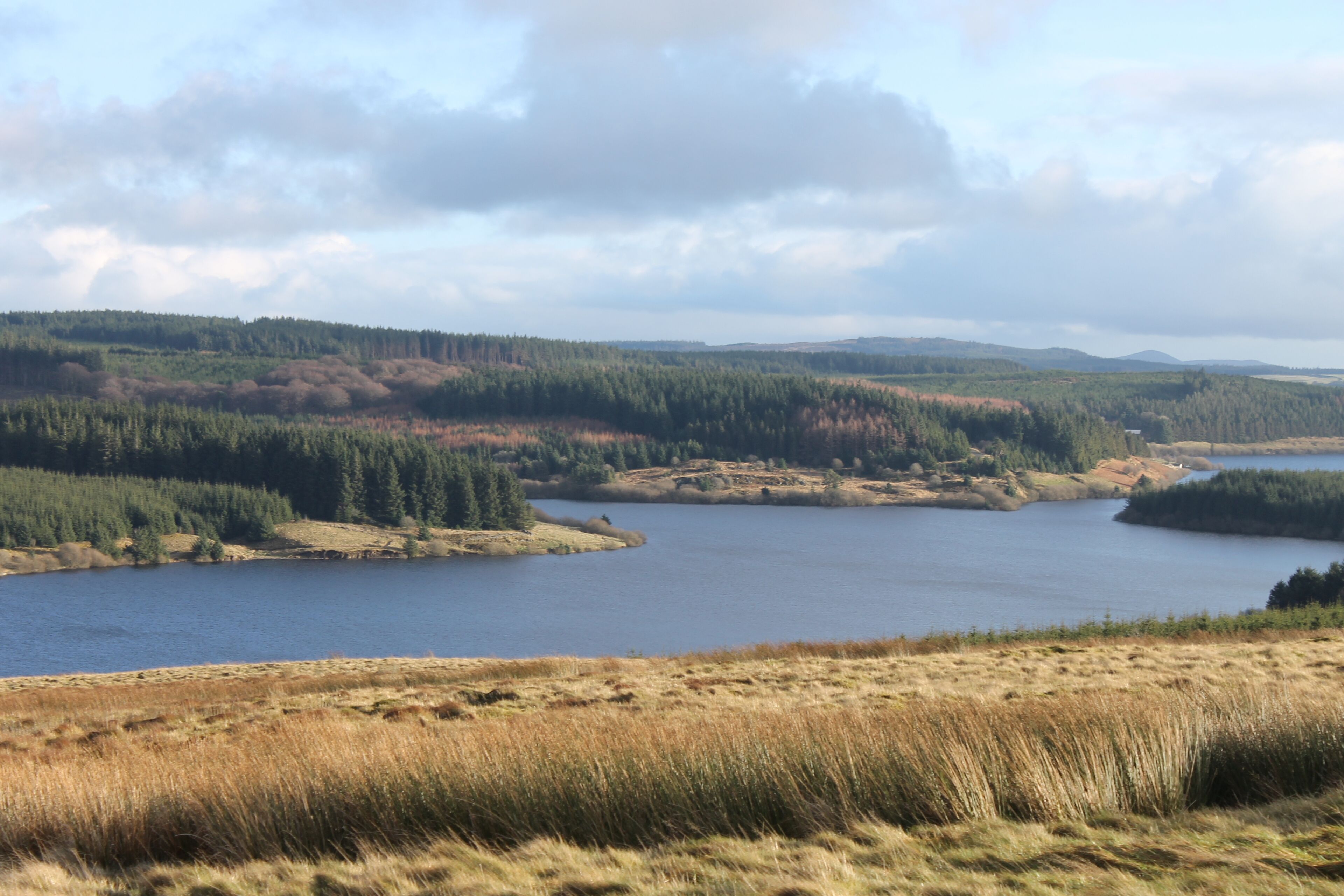 A lake surrounded by forested hills and open fields.