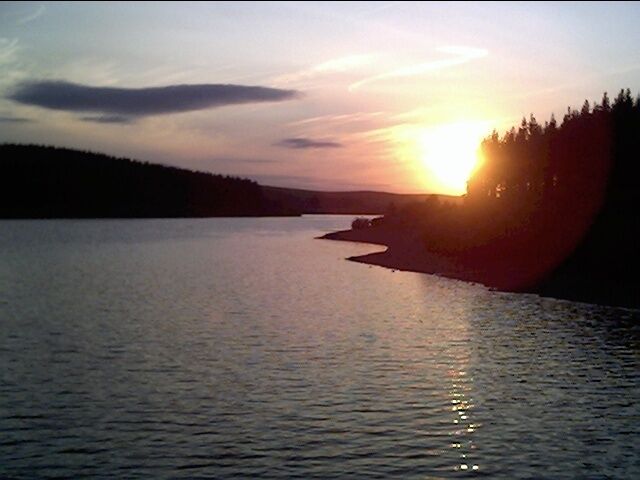 Un atardecer sobre un lago tranquilo con una orilla arbolada.