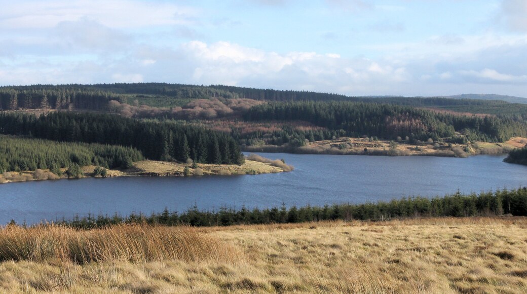 Llyn Alwen Reservoir, Conwy Borough County, Wales.