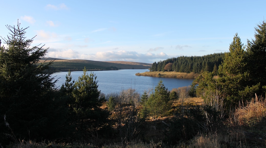 Llyn Alwen Reservoir, Conwy Borough County, Wales.