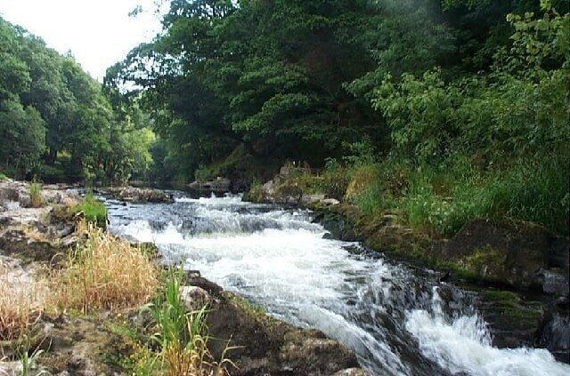 Cenarth Falls. Advertised as "world famous" waterfalls, the River Teifi was not as impressive as it might have been following a six week dry spell in July 2003.
