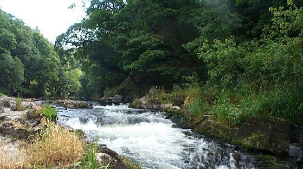 Cenarth Falls. Advertised as "world famous" waterfalls, the River Teifi was not as impressive as it might have been following a six week dry spell in July 2003.