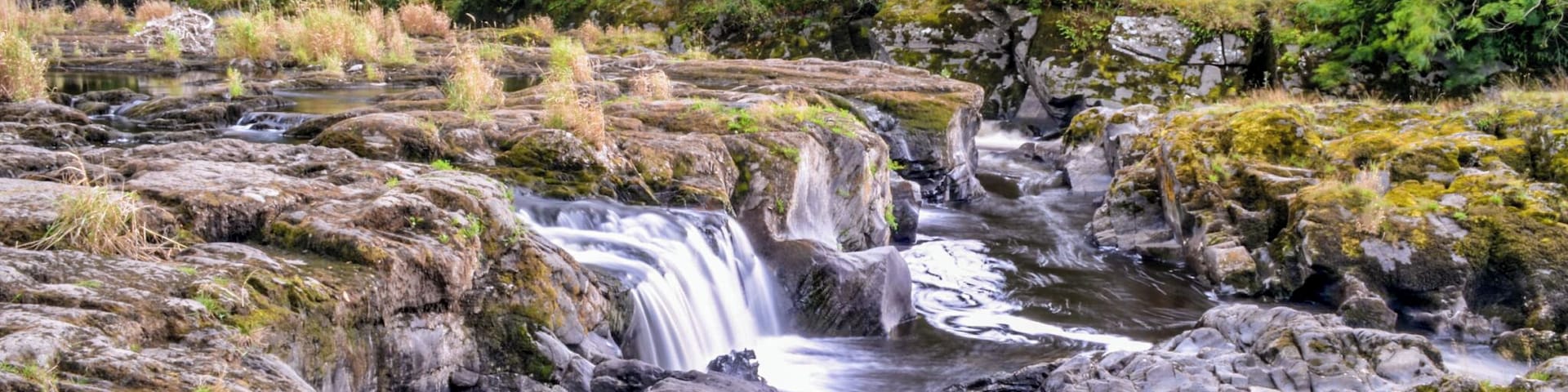 Cenarth Falls in beautiful Wales.