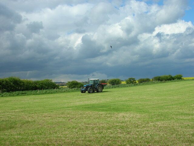 Farmland East of Killerby