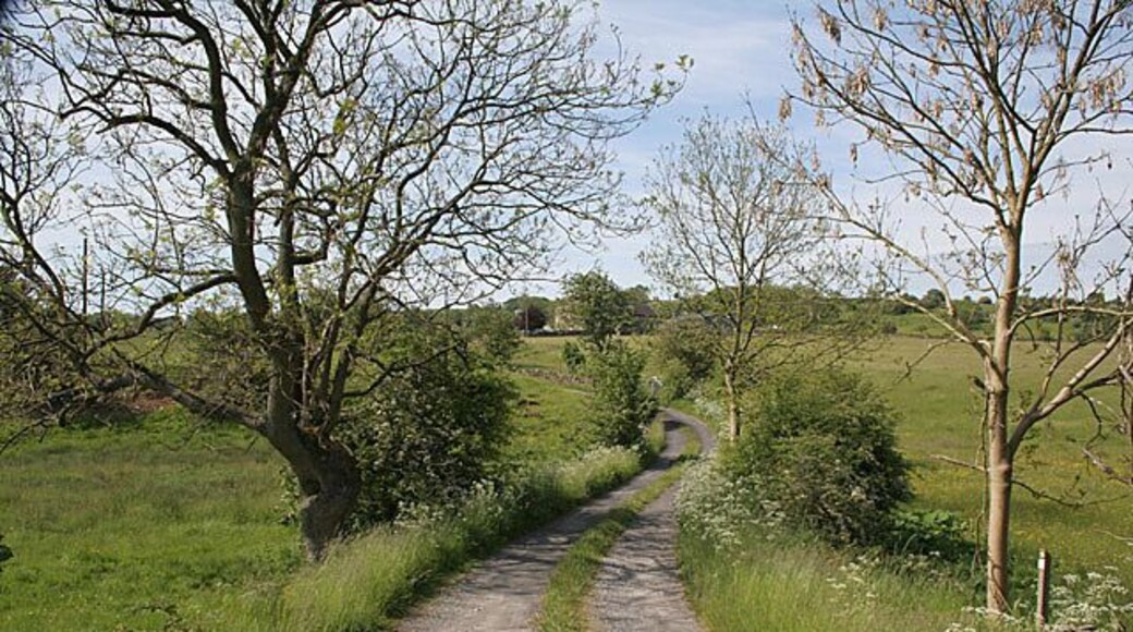 The lane to Broomyshaw