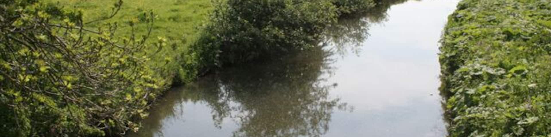 River Hamps near Winkhill