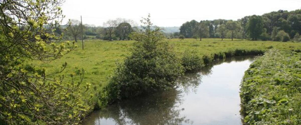 A narrow waterway bordered by lush greenery and trees.