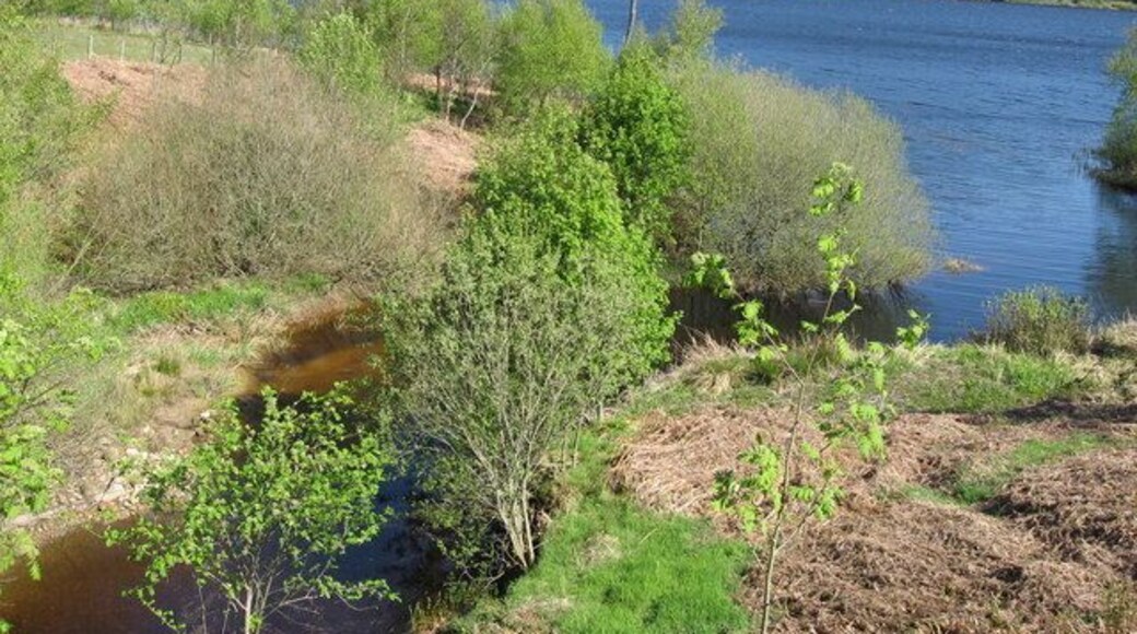 Earl Sike The mouth of the burn where it joins Catcleugh reservoir, near Chattlehope. Echo Rigg is the wooded hill in the background, the hill to the left is Lumsdon Law.