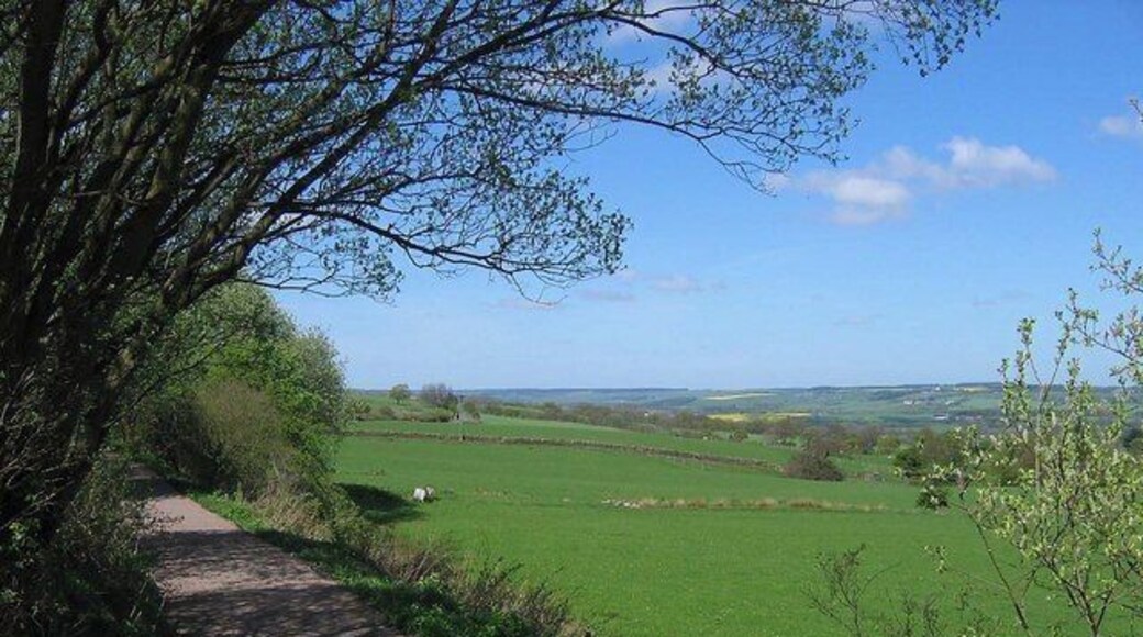The Waskerley Way cycle path