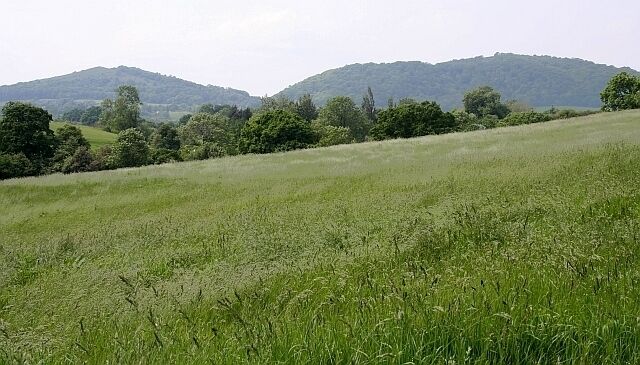 Meadow in Castlemorton Taken from the footpath to Birts Street. Looking west towards the Malvern Hills. Ragged Stone Hill is on the left with Midsummer Hill on the right.