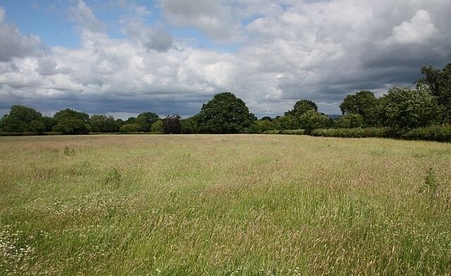Grassland behind Little Welland Farm Taken on the open gardens day walking from the car park meadow.