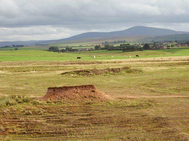 White Hill. Or what is left of it - a stump full of rabbit holes. Like nearby Lang Hill, it has been quarried away. The hills were originally sandy deposits from a river running though a glacier. Surviving long sandy hills, kaimes, can be seen nearby.