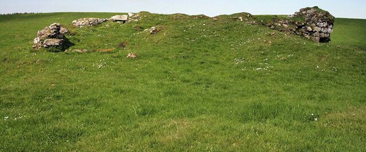 A grassy field with several large rocks scattered across the terrain.