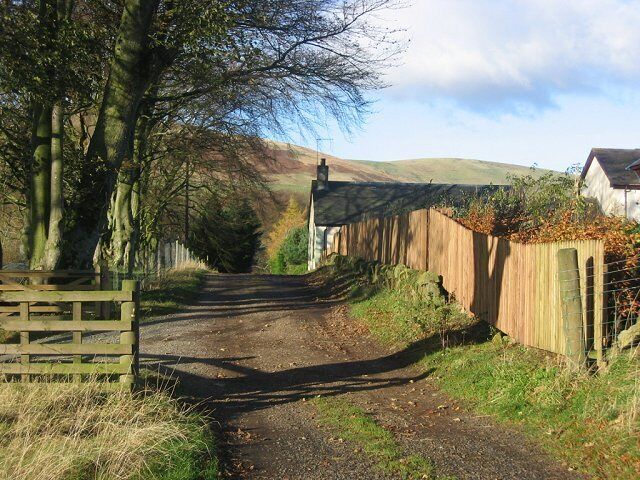 Kitleyknowe. Looking north past Kitleyknowe