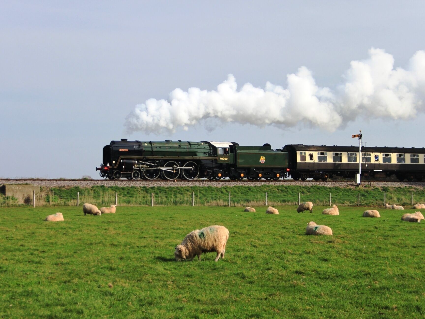 British Railways 'standard' class 7 number 70000 Britannia passes sheep grazing on Ker Moor at Blue Anchor, Somerset. It is heading from Bishops Lydeard to Minehead during a visit to the West Somerset Railway.