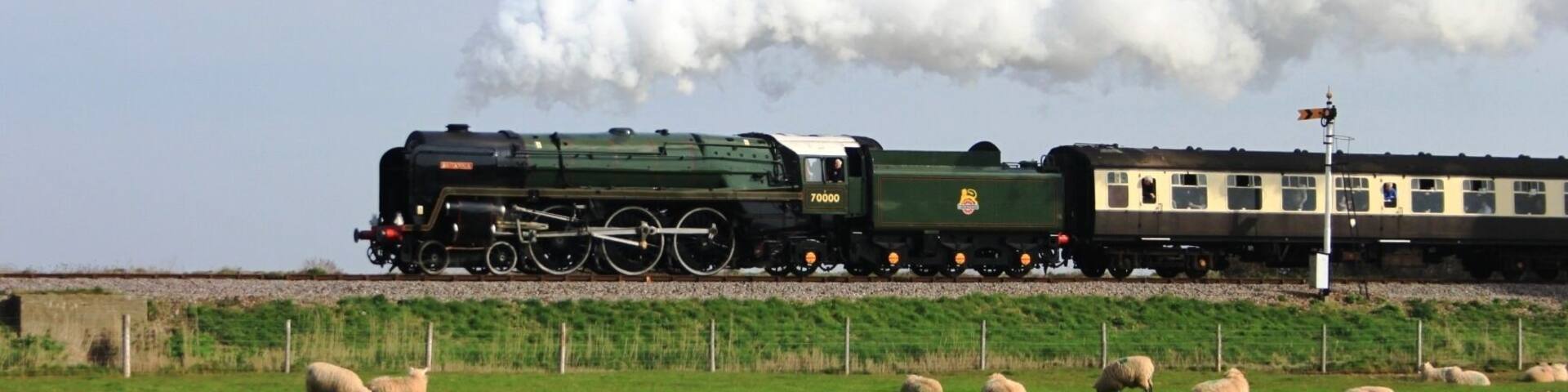 British Railways 'standard' class 7 number 70000 Britannia passes sheep grazing on Ker Moor at Blue Anchor, Somerset. It is heading from Bishops Lydeard to Minehead during a visit to the West Somerset Railway.