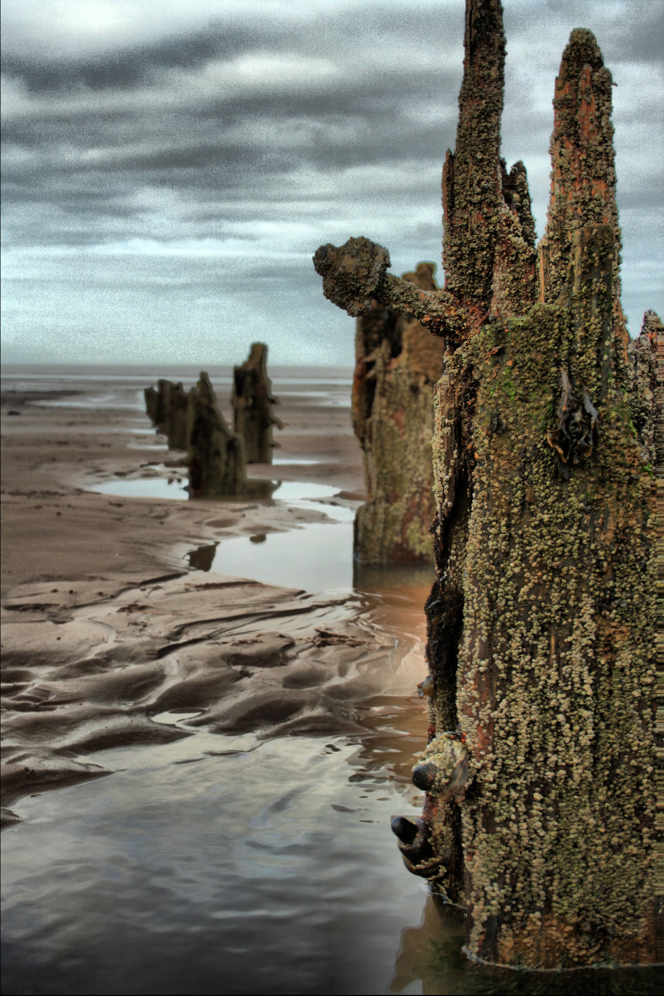 Signs of wear and tear from Mother Nature
