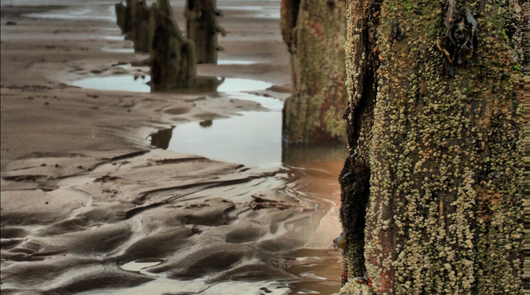 Signs of wear and tear from Mother Nature