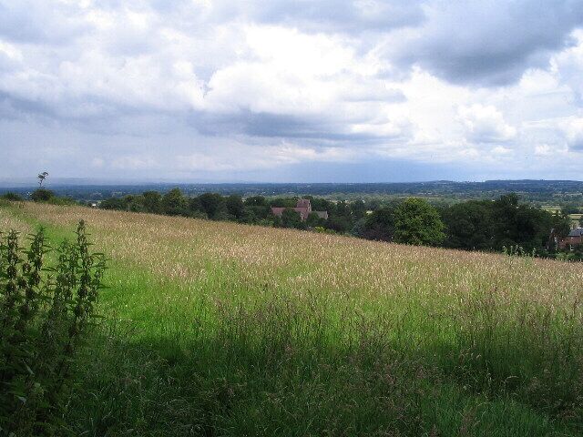 Alberbury and Shropshire plain. After negotiating the stile over the Loton deer park boundary wall ( 489182 ), this is what you see, from the shade of a sycamore. In the foreground a hay field, with the footpath going left along the line of green, following the outside of the deer park wall, to come out by the B4393 at 489196 near the T-junction ( 489209 ). Amongst the trees you can see the roof of the church in Alberbury ( 489239 ), beyond which is the Shropshire plain.