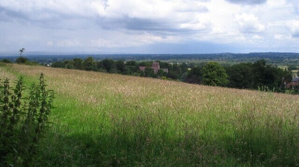 Alberbury and Shropshire plain. After negotiating the stile over the Loton deer park boundary wall ( 489182 ), this is what you see, from the shade of a sycamore. In the foreground a hay field, with the footpath going left along the line of green, following the outside of the deer park wall, to come out by the B4393 at 489196 near the T-junction ( 489209 ). Amongst the trees you can see the roof of the church in Alberbury ( 489239 ), beyond which is the Shropshire plain.