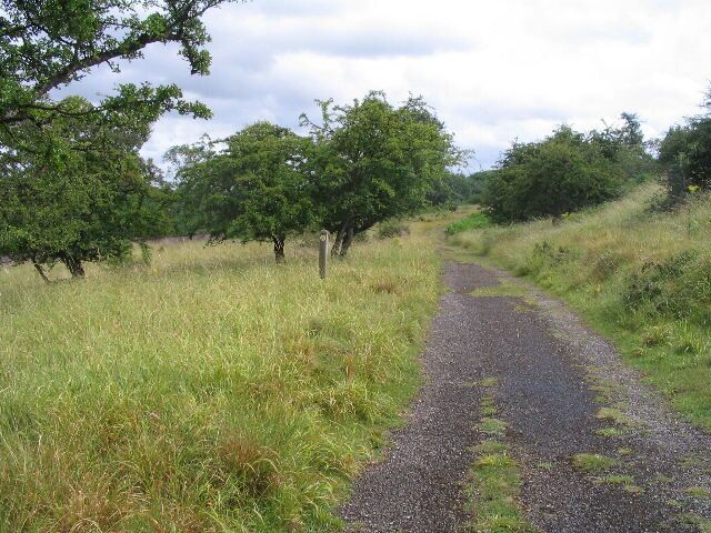 Public footpath, Loton Park Hawthorns and grassland alive with butterflies on a hot, humid day.