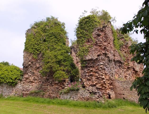 Ruínas de pedra antigas com vegetação exuberante.