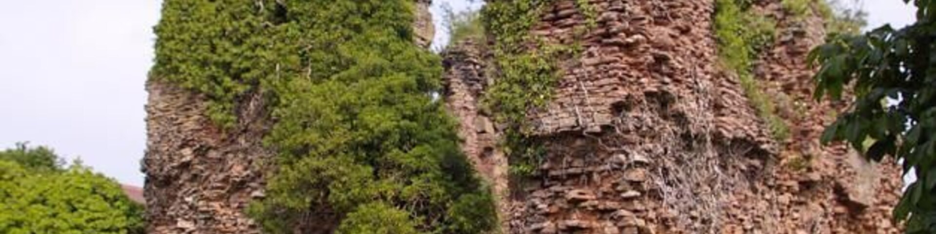 Ruínas de pedra antigas com vegetação exuberante.