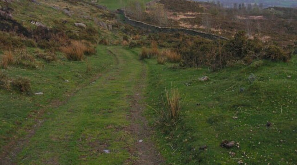 Bridleway near Dinas Mawr Heading downhill towards the ruin of Ty'n-y-Gerddi.
