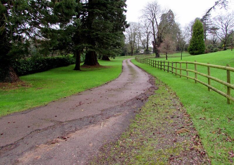 Entrance driveway to Dewstow House near Caldicot. Straightish part of a winding drive to Grade II listed Dewstow House, viewed from near the Dewstow Road entrance.