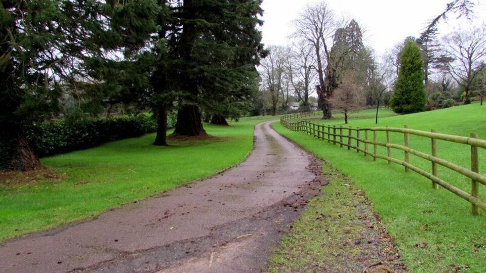 Entrance driveway to Dewstow House near Caldicot. Straightish part of a winding drive to Grade II listed Dewstow House, viewed from near the Dewstow Road entrance.