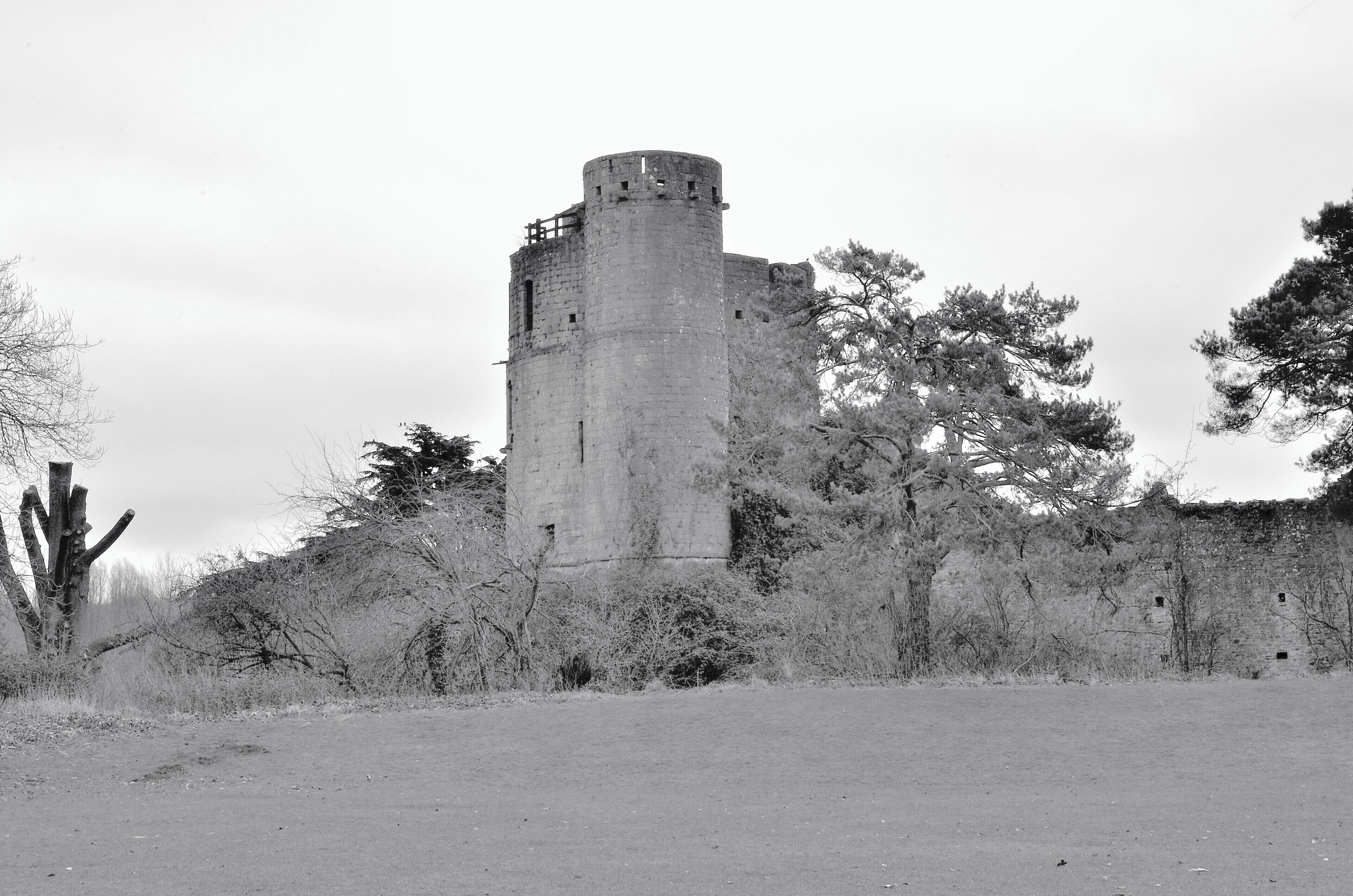 This was a winter morning shot. You can go here anytime of the year as no two days are the same. There's ample parking, amenities and a lake behind the castle. Good selection of wildlife. Plenty of room to explore. Not rushed.