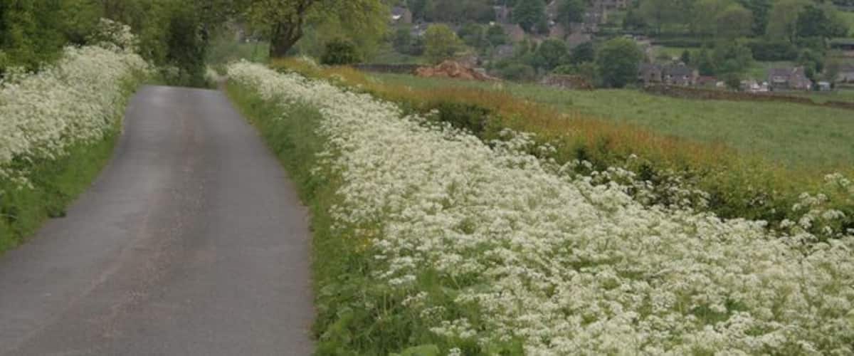 The road from Butterton to Grindon, looking towards Butterton