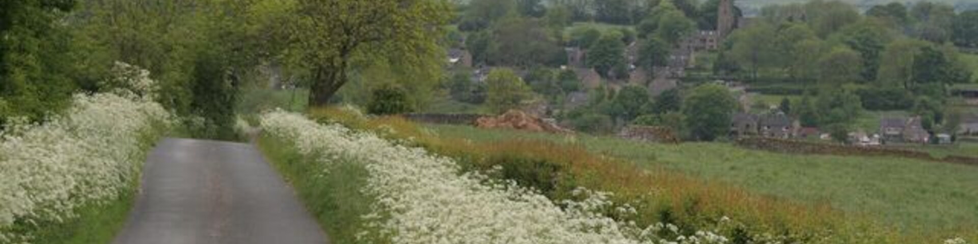 The road from Butterton to Grindon, looking towards Butterton