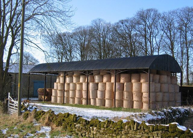 Barn. Looking to the barn which is just in the SW corner of the grid square.