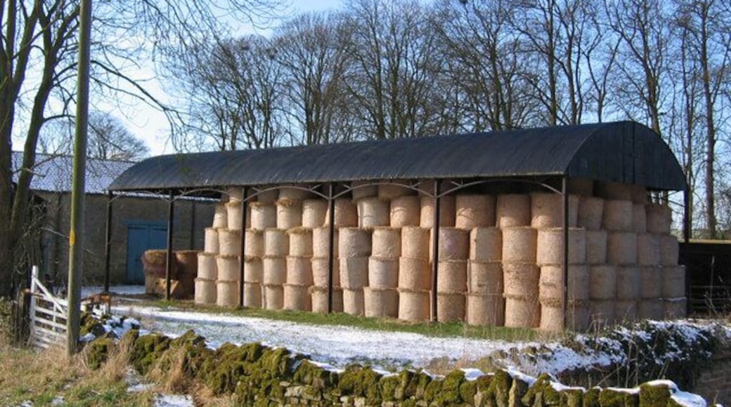 Barn. Looking to the barn which is just in the SW corner of the grid square.