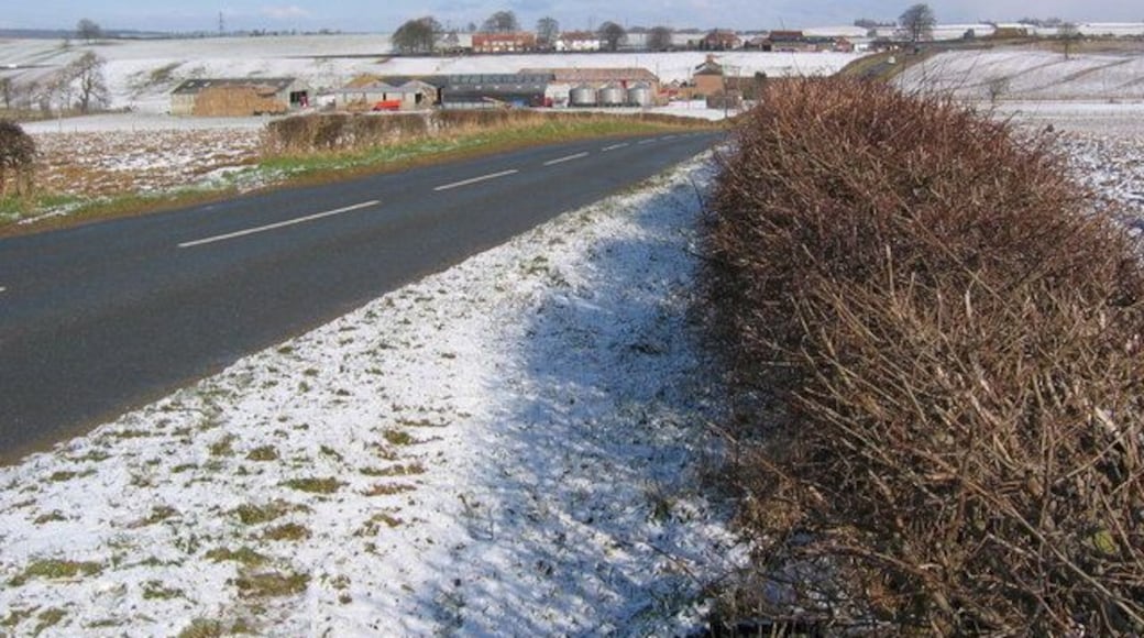 Looking to Kennels Farm. Looking NW, a representative view of this area.