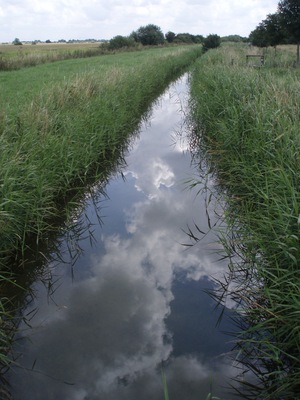 New River Taken from the footbridge owned by nearby Hundred Acre farm. The sky can be seen clearly reflected in the water.