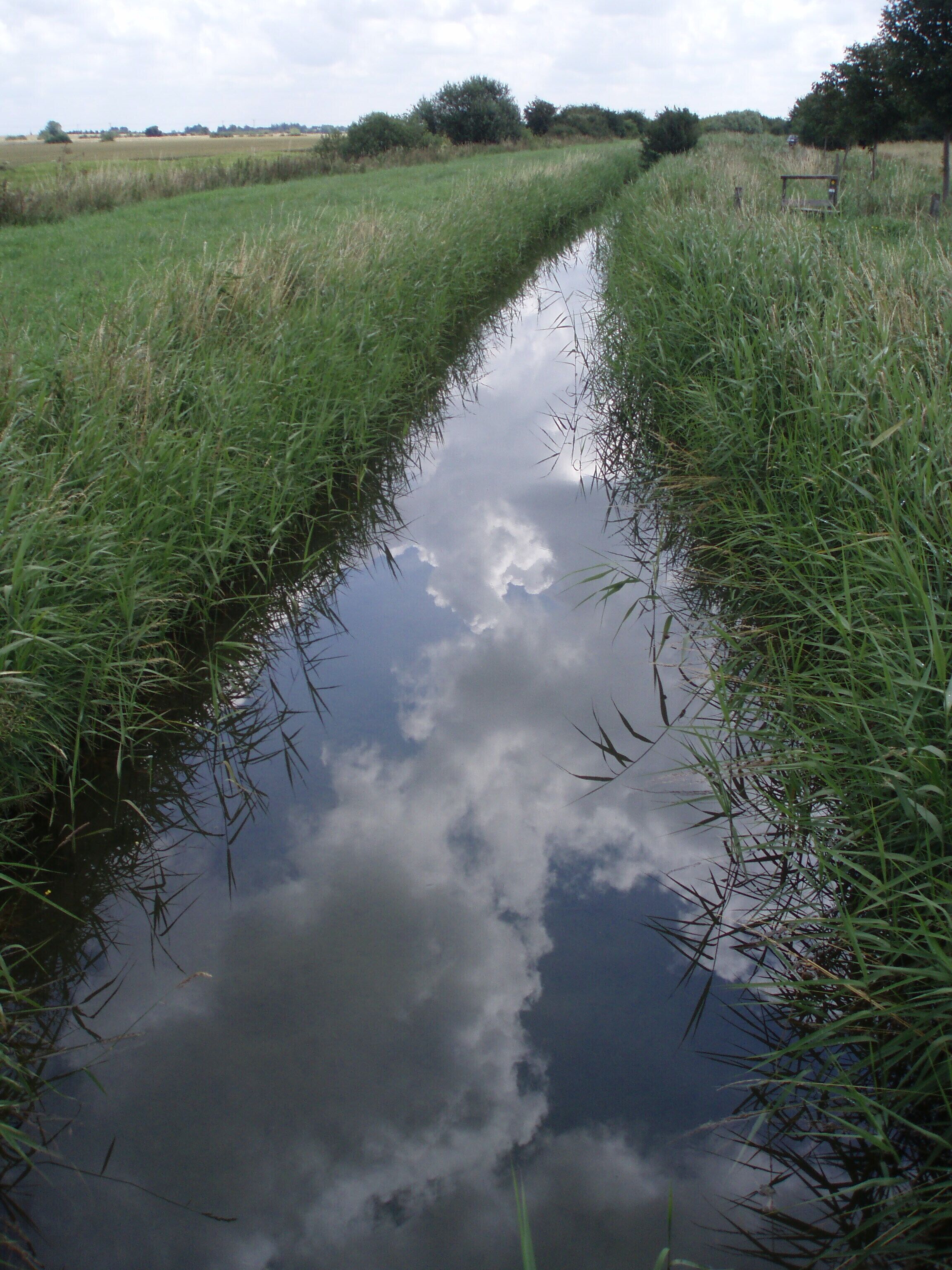 A narrow water channel surrounded by grassy fields and trees.