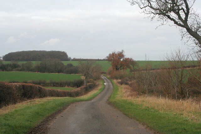 A narrow rural road curving through fields with a distant hill and leafless trees.
