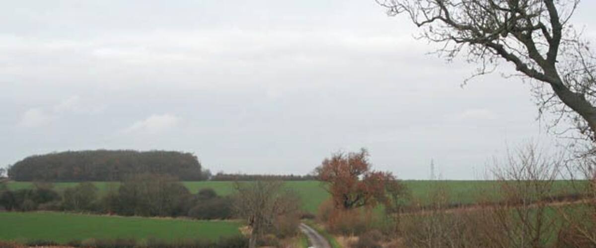 A narrow rural road curving through fields with a distant hill and leafless trees.