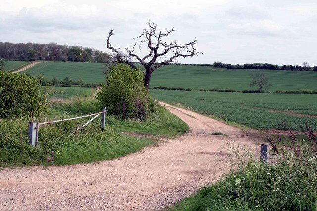 Farm track to the corn fields On the corner of this minor road from Burtol le Coggles is a farm track which leads to sown corn fields .