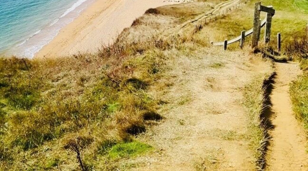 Best Walks along the south West Coastal path, Sun , Sea , Seagulls swalking what else do you need